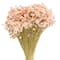 Pink Campo Flowers Decorative Naturals by Ashland&#xAE;